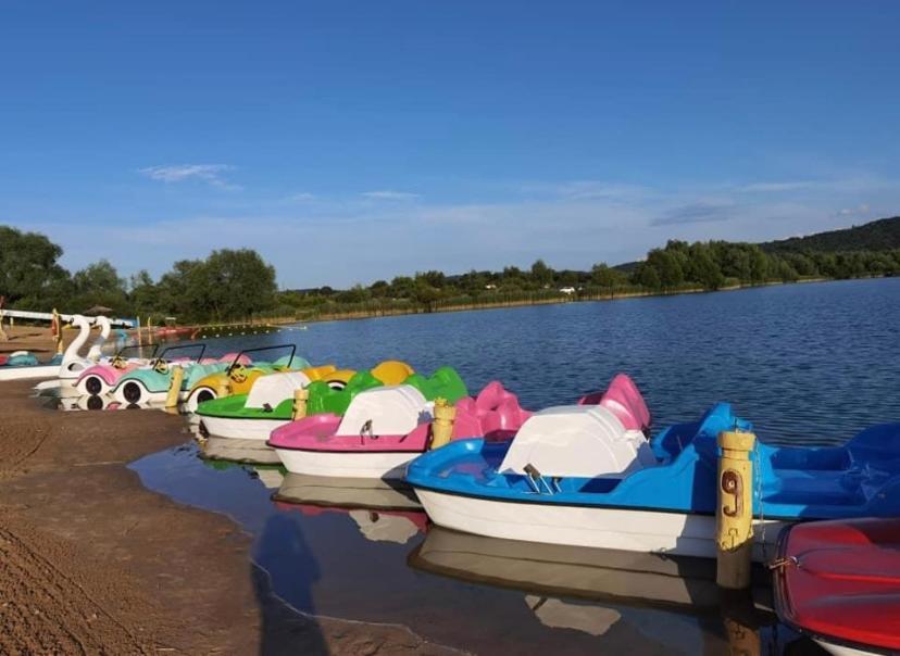 Apartament Plaza Park Przemyśl Eksteriør billede